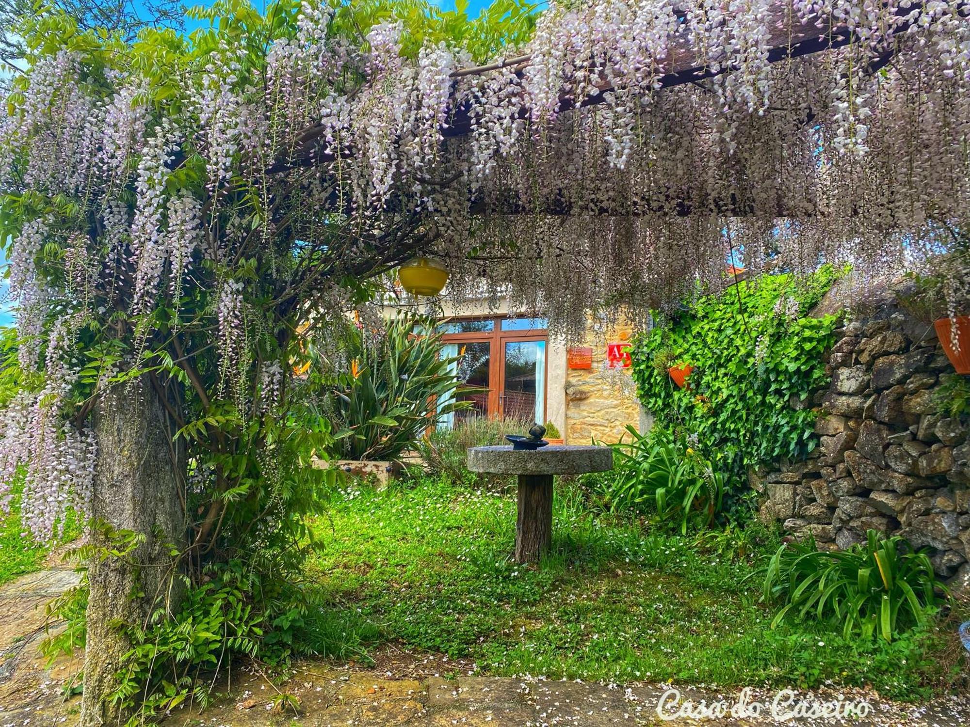 Casa Do Caseiro A Costa Da Morte Xornes Ngoại thất bức ảnh